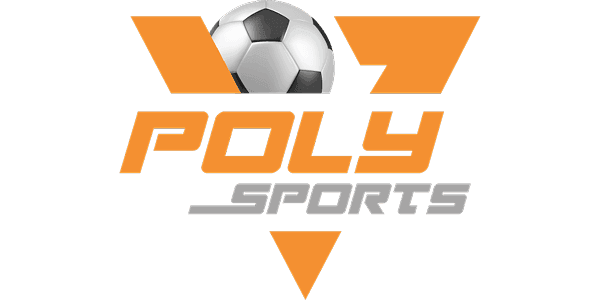 পলি কালার গেমিং logo